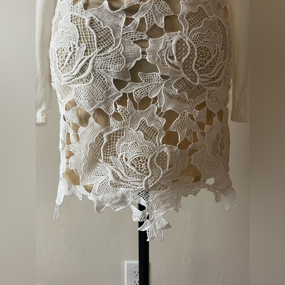 Love-cat lace/sheer mesh combo, off white dress, gold back zip, size L, like new - Picture 7 of 8